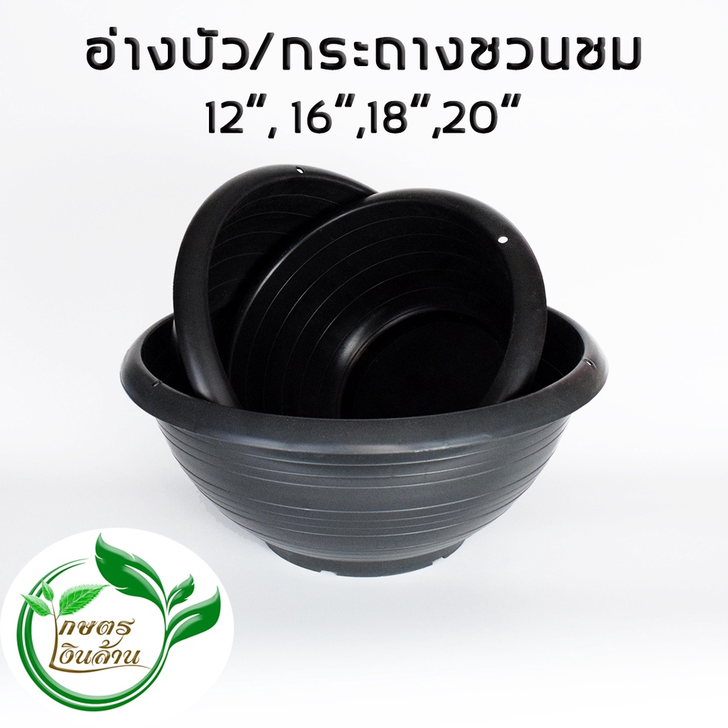 [แตกเคลมทันที]เกษตรเงินล้าน อ่างบัว/กระถางชวนชม 12",16",18",20" อย่างหนา By.คิม เกษตรเงินล้าน
