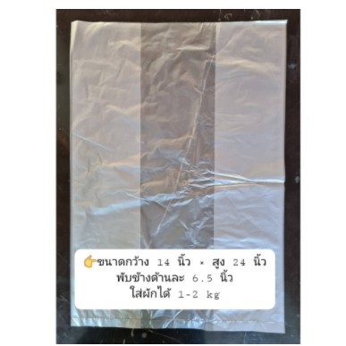 ถุงใส่ผักไฮโดรโปนิกส์,ถุงใส่ผักสลัด 14×23 นิ้ว (1 kg)