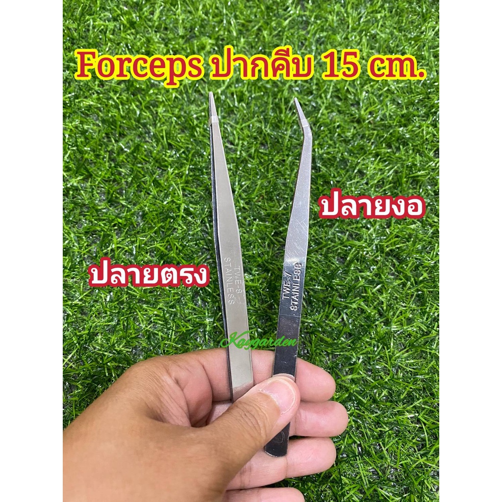 ปากคีบ ฟอร์เซป Forceps ปลายตรง ปลายงอ สแตนเลส