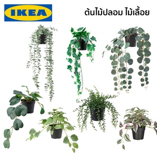 ต้นไม้ปลอม ต้นไม้ปลอมแต่งบ้าน ไม้เลื้อยปลอม FEJKA IKEA อิเกีย