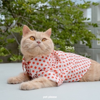 Casual shirt เสื้อเชิ้ต ชุดสัตว์เลี้ยง เสื้อหมา เสื้อแมว l petplease