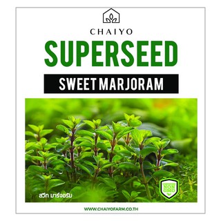 เมล็ดพันธุ์สวีท มาร์จอรัม ชัยโย 380 เมล็ด SWEET MARJORAM 380 SEEDS