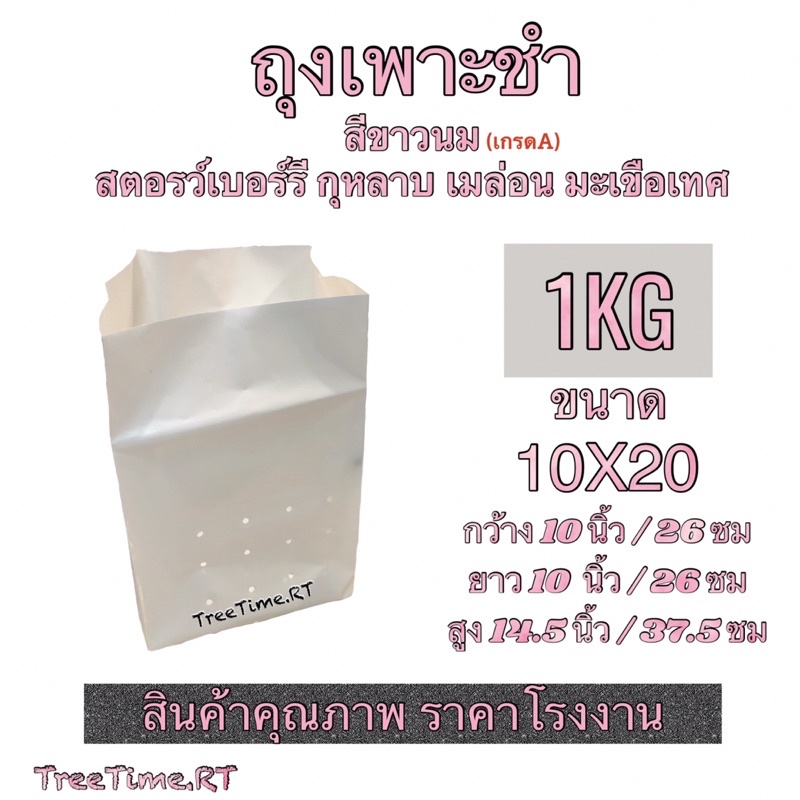 ถุงเพาะชำ PE สีขาวนม ➰5.5X11 ~ 10X20➰ (1KG) เนื้อPE เหนียวกว่า ทนกว่า ใช้ได้นานกว่า เนื้อHD (1KG) - รูปที่ 2