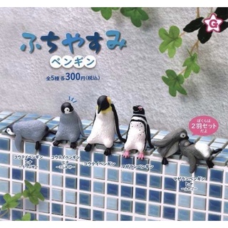 🅟🅕 กาชาปองนกเพนกวินหลากหลายพันธุ์นั่งพักผ่อน 🐧🐧🐧 Fuchiyasumi Penguins gashapon