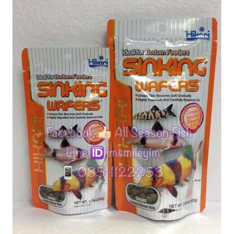 HIKARI > Tropical Algae Wafers (ซัคเกอร์เขียว) ชนิดจมน้ำ WC