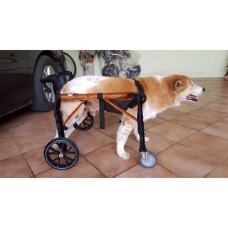 วีลแชร์สุนัข โครงสแตนเลส ขนาดไซส์ XL สัตว์เลี้ยง รถเข็น wheelchair for dog **ติดต่อร้านค้าก่อนสั่งซื้อ**โดยสัตวแพทย์