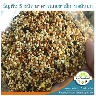 เมล็ดฟ่างรวม ข้าวฟ่ารวม (ขนาด 1 กิโลกรัม) อาหารนกแก้ว อาหารนก ธัญพืช ธัญพืชนก