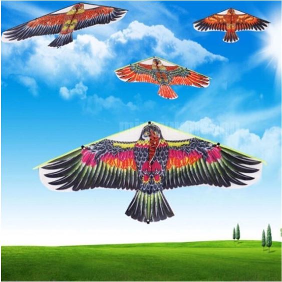 ว่าว ว่าวไล่นก ว่าวนก  แถมเชือกว่าวยาว 12 บาท ทุกตัว ราคาถูก ว่าวนกตัวใหญ่ ของเล่นเด็ก ไล่นกพิราบ - รูปที่ 2