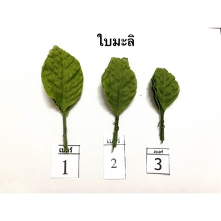 ใบมะลิ ใบมะลิผ้า ใบมะลิปลอม(1 ห่อมี 100.ใบ)