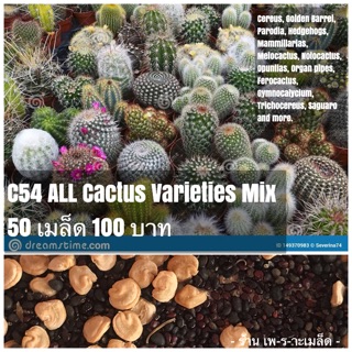 C54 ALL Cactus Varieties Mix 50 เมล็ด 100 บาท