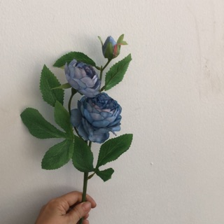 พิโอนี่ เอแอล (260482)