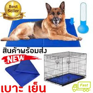 Pet cool mat ที่นอนเจลเย็นหมา แผ่นเจลรองนอนหมา แผ่นเจลเย็นสุนัข ที่นอนเจลเย็นสำหรับสุนัข (Size L 90*50cm)