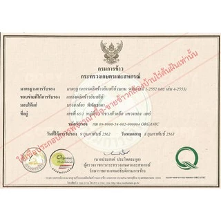 ข้าวกล้องงอก หอมมะลิ ออร์แกนิค, ข้าวกาบา, ข้าวฮาง, ไม่ใช้สารเคมีอย่างสิ้นเชิง