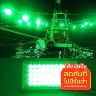 ไฟตกหมึก ไฟล่อหมึก สปอร์ตไลท์ แสงเขียว LED 50 วัตต์