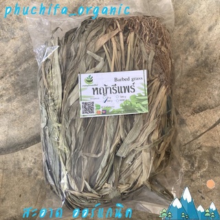 หญ้ารีแพร์ (Barbed grass) ขนาด 100 กรัม เสริมการสร้างคอลลาเจนให้ผิวดูเต่งตึง