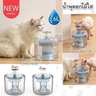 CatHoliday น้ำพุดอกไม้ใส น้ำพุแมว น้ำพุสัตว์เลี้ยง