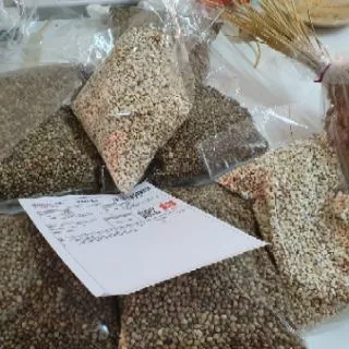 ฮวยมั้วเกรดA สำหรับนกแก้ว1กก.และ500กรัม