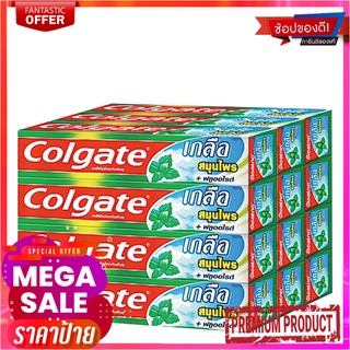 คอลเกต ยาสีฟัน สูตรเกลือ สมุนไพร 35 กรัม x 12 กล่องColgate Toothpaste Salt Herbal 35g x 12 packs