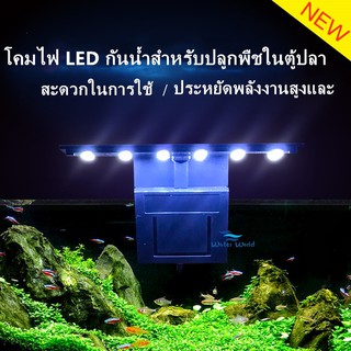 ✔พร้อมส่ง โคมไฟ LED กันน้ำสำหรับปลูกพืชในตู้ปลา โคมไฟตู้ปลา