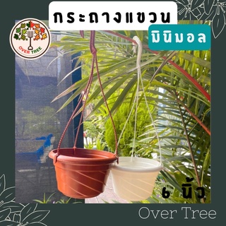 กระถางแขวน มินิมอล ขนาด 6 นิ้ว (ฟรีสายแขวน ถอดเก็บได้)  กระถางต้นไม้ กระถางเร่งราก กระถางกล้วยไม้