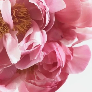 SATURN PARADE (EDP) น้ำหอมขนาดทดลอง กลิ่น On Wednesdays We Wear Pink 💗
