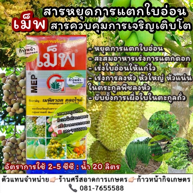 เมพิควอต สารควบคุมการเจริญเติบโต ยับยั้งการแตกใบอ่อน เมพิควอต คลอไรด์ (mepiquat chloride)…25% W/V SL 500 ซีซี