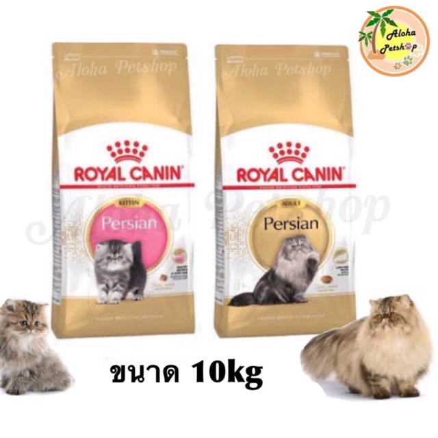 Royal Canin Persian Kitten, Adult ลูกแมวเปอร์เซีย, เปอร์เซียโต ขนาด 10kg