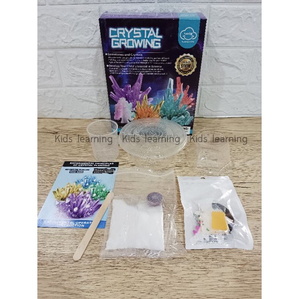 🏅Kids learning🏅DIY STEM Crystal Growing ของเล่นวิทยาศาสตร์ ทำคริสตัล ทำต้นไม้ ของเล่นแนวสาธิต