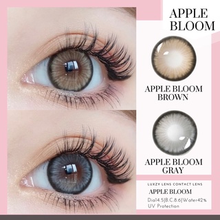 Luxzy lens Apple Bloom ค่าสายตา 0.00-650