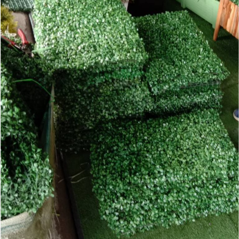 หญ้าตีนเป็ด หญ้าเทียม หญ้าแผ่นขนาด 40×60cm มีให้เลือก 3 รุ่น บาง กลาง หนาแน่น จัดสวนแนวตั้ง ติดผนัง - รูปที่ 5