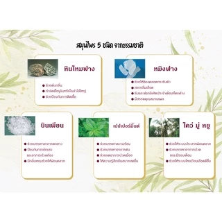 ผ้าอนามัยสมุนไพร Addwell *ซึบซับดี ลดคัน* ลดตกขาว