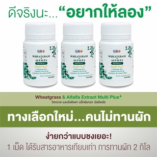 ส่งฟรี 1 กระปุก ผักเม็ด Wheatgrass &amp; Alfalfa Extract Multi Plus+ Q10 (1 กระปุก 30 ซอฟท์เจล)