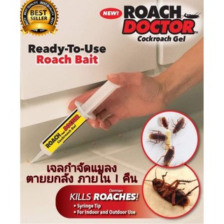 ROACH เจลฆ่าแมลงสาบ ตายยกลัง ยาฆ่าแมลงสาบ ยากำจัดแมลงสาบ แมลงสาบ