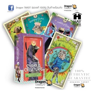 ไพ่ทาโรต์ Tarot of Curious Creatures, the (ของแท้ 100%) สินค้าพร้อมส่ง ไพ่แท้, ร้าน Dragon TAROT