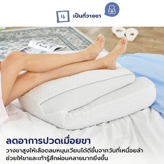 Chowa หมอนพิงหลังสลบเหมือด หมอนแก้ปวดหลัง หมอนข้างใบยักษ์จากเกาหลี