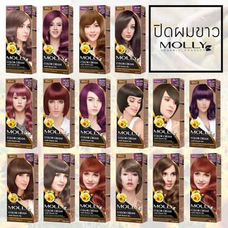 สีย้อมผม มอลลี่ คัลเลอร์ ครีม Molly Color Cream