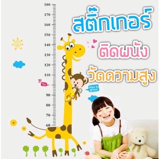 (50แบบ) สติ๊กเกอร์วัดส่วนสูง ที่วัดส่วนสูงเด็ก สติ๊กเกอร์ติดผนังวัดส่วนสูง สติ๊กเกอร์ติดผนัง สติ๊กเกอร์ติดผนังห้องนอน