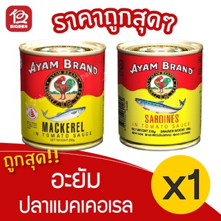 [1 กระป๋อง]  Ayam อะยัม ปลากระป๋อง ขนาด 230 กรัม