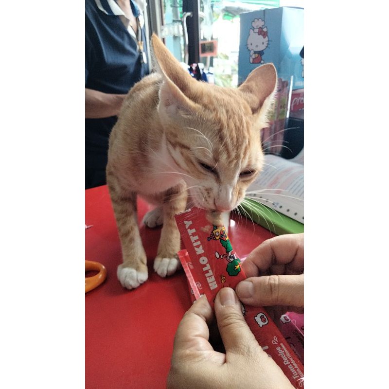 Pramy ขนมแมวเลีย อร่อยจริงท้าให้ลอง