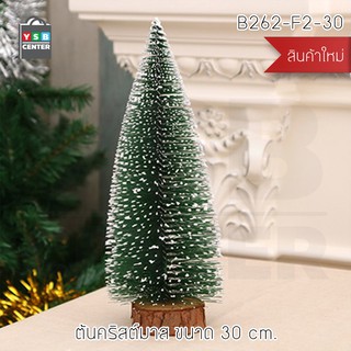 ต้นคริสต์มาส ต้นคริสต์มาสตกแต่ง ต้นคริสต์มาสปลอม Christmas Tree มาพร้อมไฟ LED ขนาด 30 Cm. รุ่น B1S014