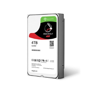 HARDDISK NAS &amp; RAID SEAGATE IRONWOLF 4TB NAS HDD