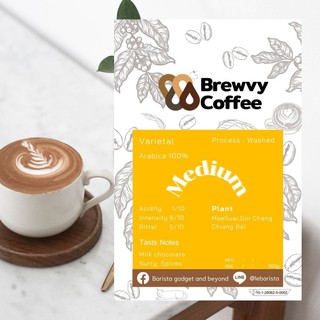 เมล็ดกาแฟอาราบิก้า 100% คั่วกลาง Brewvy Medium