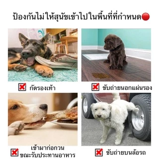 PP-356 สเปรย์ฝึกขับถ่าย สำหรับสัตว์เลี้ยง ฝึกฉี่ ฝึกขับถ่าย สำหรับสุนัขและแมว ปลอดภัย ไร้สารตกค้าง พร้อมส่ง! 🐶🐱