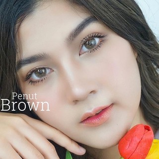 Penut brown พร้อมส่งค่าสายตา (lovelylens)