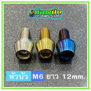 น็อตสแตนเลส หัวบัว ขนาดเกลียว m6 ยาว 12 mm.