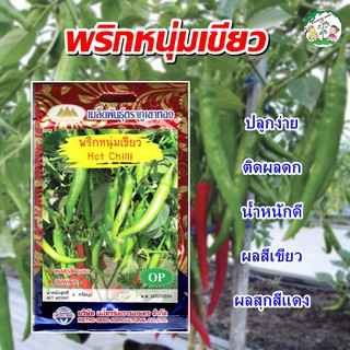 เมล็ดพริกหนุ่มเขียว Hot Chilli เมล็ดพันธุ์พริกหนุ่ม เมล็ดพริก เมล็ดพริกหนุ่ม ตราภูเขาทอง