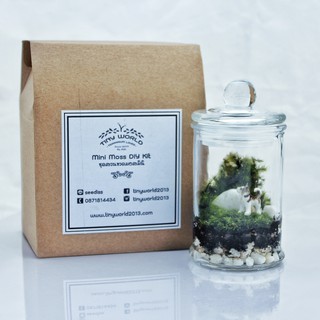 (เหลือ 301.- โค้ด DETFEB30) ชุดจัดสวนขวดจิ๋ว โหลแคนดี้มินิ ฝาแก้วจุก mini candy Terrarium tiny world