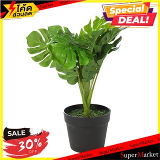 ต้นพลูฉีกประดิษฐ์ SPRING 50 ซม. ต้นไม้ประดิษฐ์ ARTIFICIAL MONSTERA SPRING 50CM อุปกรณ์ตกแต่งสวน