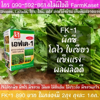 ปุ๋ยผักชี ปุ๋ยน้ำบำรุงผักชี โตไว ใบเขียว สมบูรณ์ ฉีดพ่น FK-1  มี N-P-K, Mg, Zn และสารจับใบ