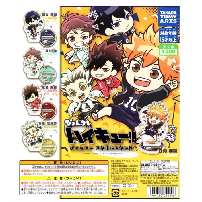 Stand Acrylic Haikyu
